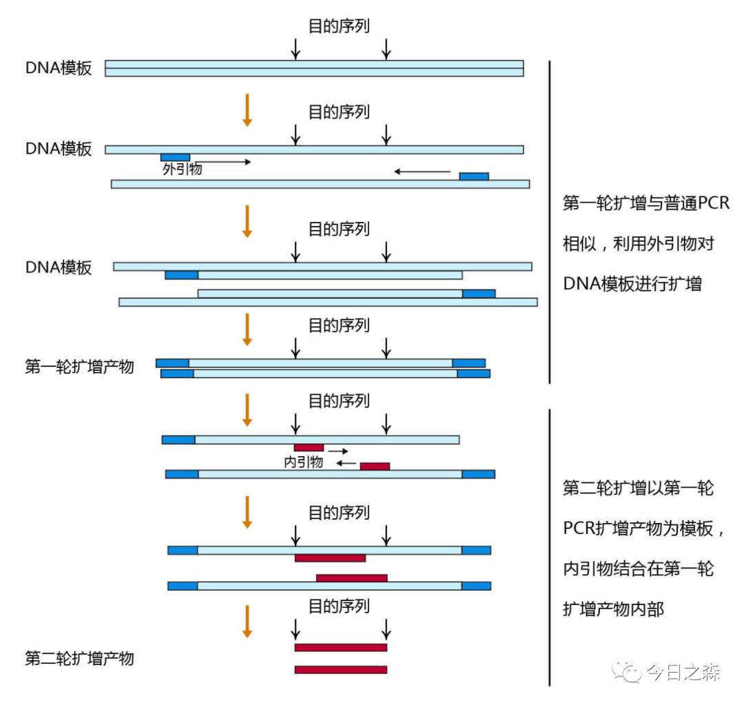 7777788888管家婆百度和2025新澳门和香港天天精准大全谜语和防范迷惑性推广,详细剖析、专家解析解释与落实​