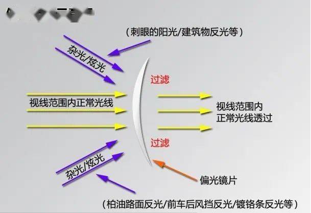 辨识:7777788888管家婆老家基础释义、专家解析解释与落实​远离虚假的假诱导光