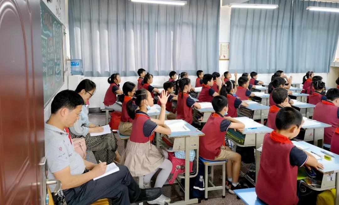挖掘:77777888管家婆四肖四码揭秘芳草及2005年新澳门与香港免费大全案例解答、专家解析解释与落实​警惕欺诈套路危害