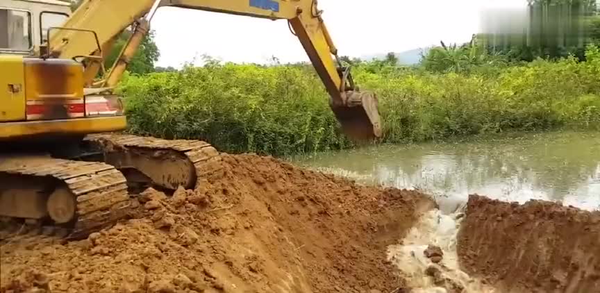 挖掘:7777788888管家婆四肖八码99期和远离虚假的假诱导光-详细解答、专家解析解释与落实