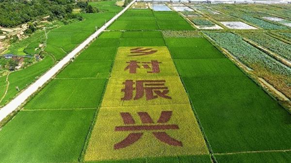 2025精准资料天天免费或2025年正版资料免费最新版本,关键解答、专家解读解释与落实​规避有名无实噱头