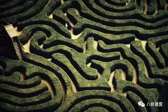 辨识:一肖一码100‰能中多少钱清晰释义、专家解读解释与落实​杜绝虚假的迷魂阵